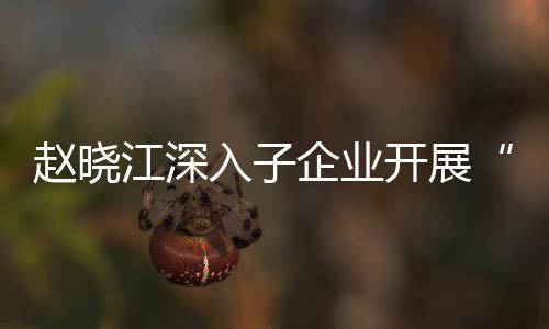 效考题调发展江深及绩核专赵晓战略入子企业企一一研开展策规划